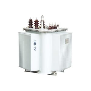 10kV Oil-Immersed Transformer